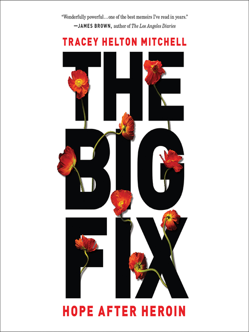 Title details for The Big Fix by Tracey Helton Mitchell - Available